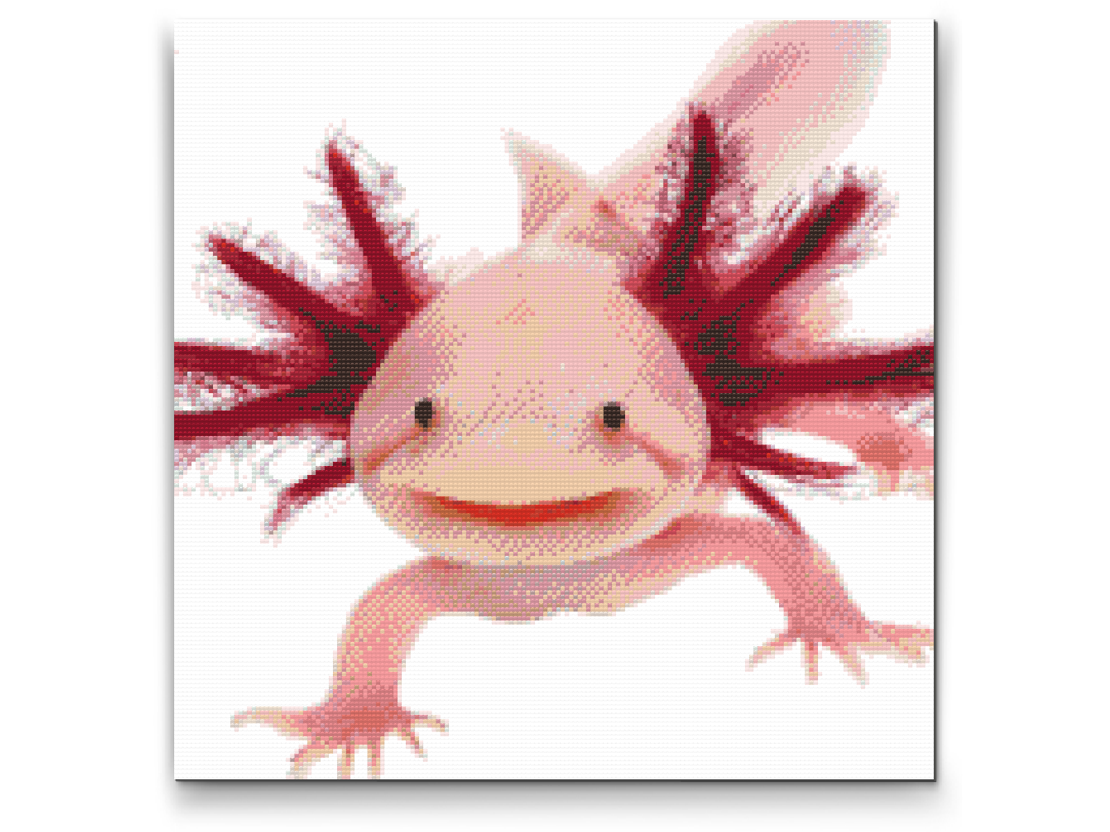 Diamantové malování - Axolotl 3